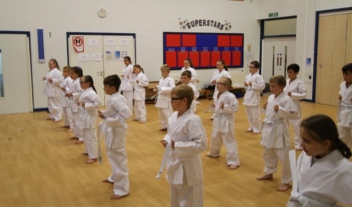 learning-karate