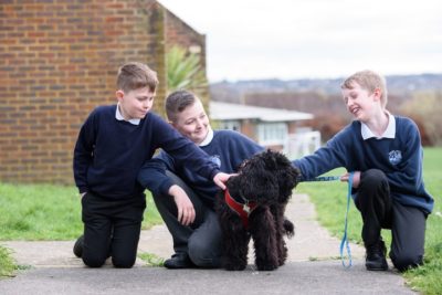 Therapy Dog