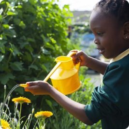 Tending the garden