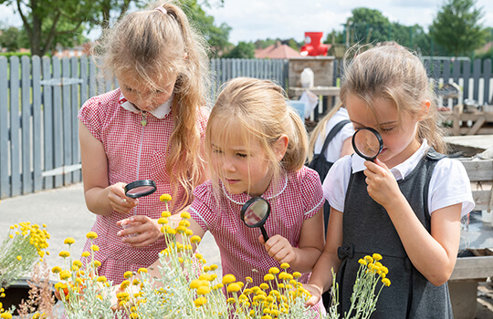 Skerne Park Academy Achieves Centre of Excellence | IQM