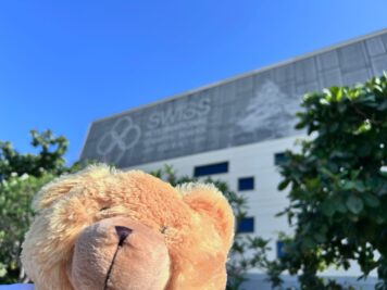 Toy bear in front of school building