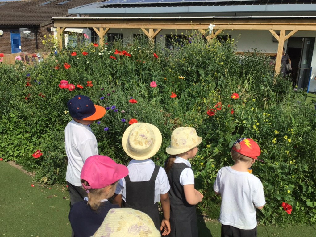 Group of early years pupils in sunhats stood in a garden, looking at flowers