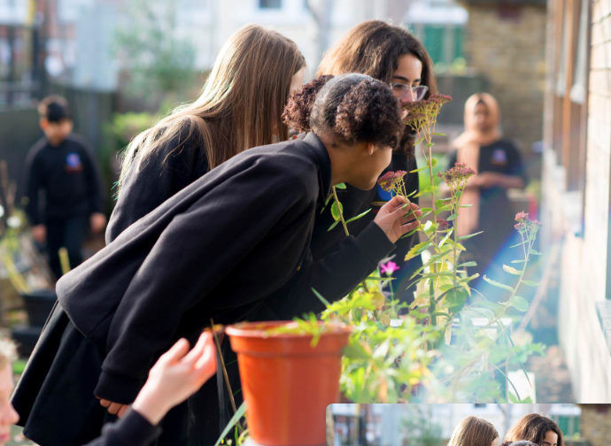 Three smiling pupils in uniform working with plants in a greenhouse garden