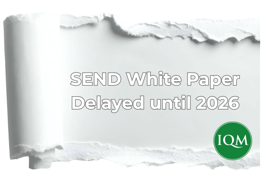 SEND Reform White Paper Delayed: The Summary for Schools and LAs