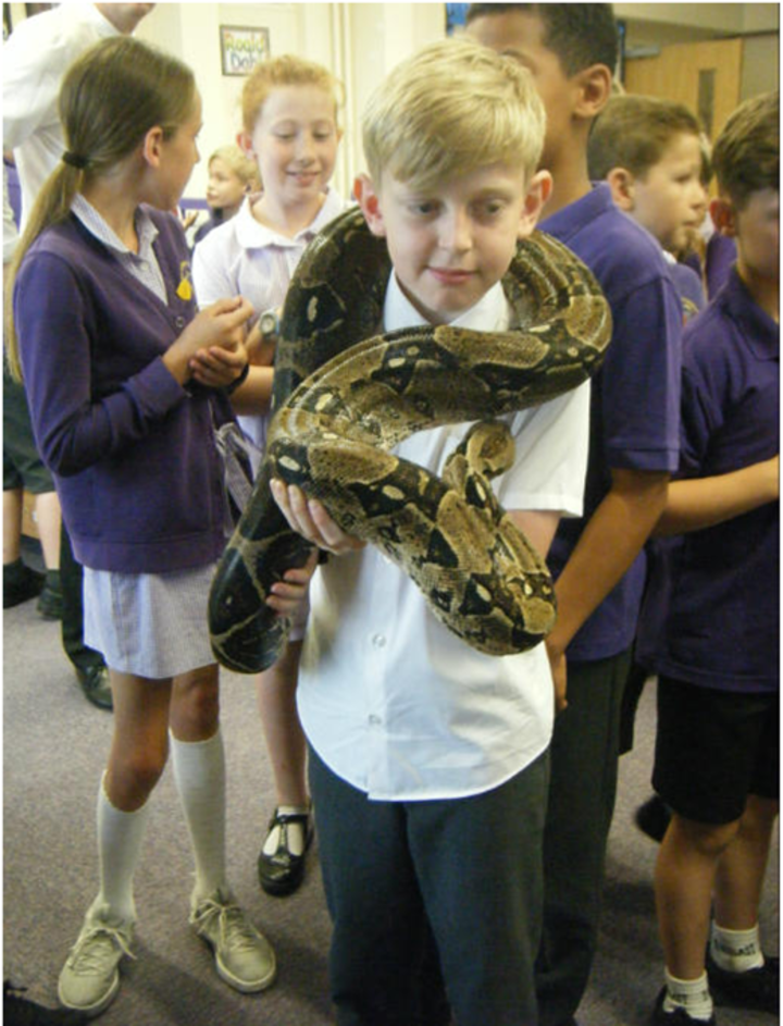 fun-with-animals