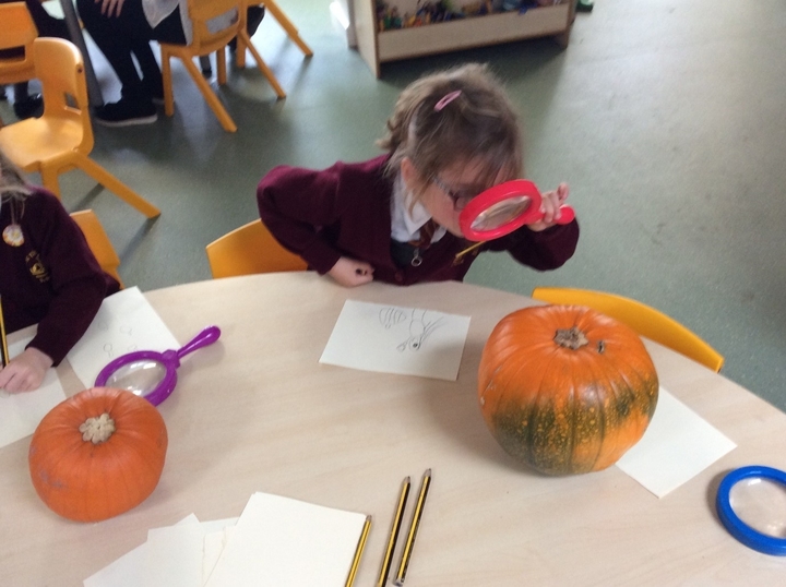 using-a-magnifying-glass