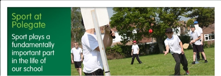 Playing Cricket is Fun