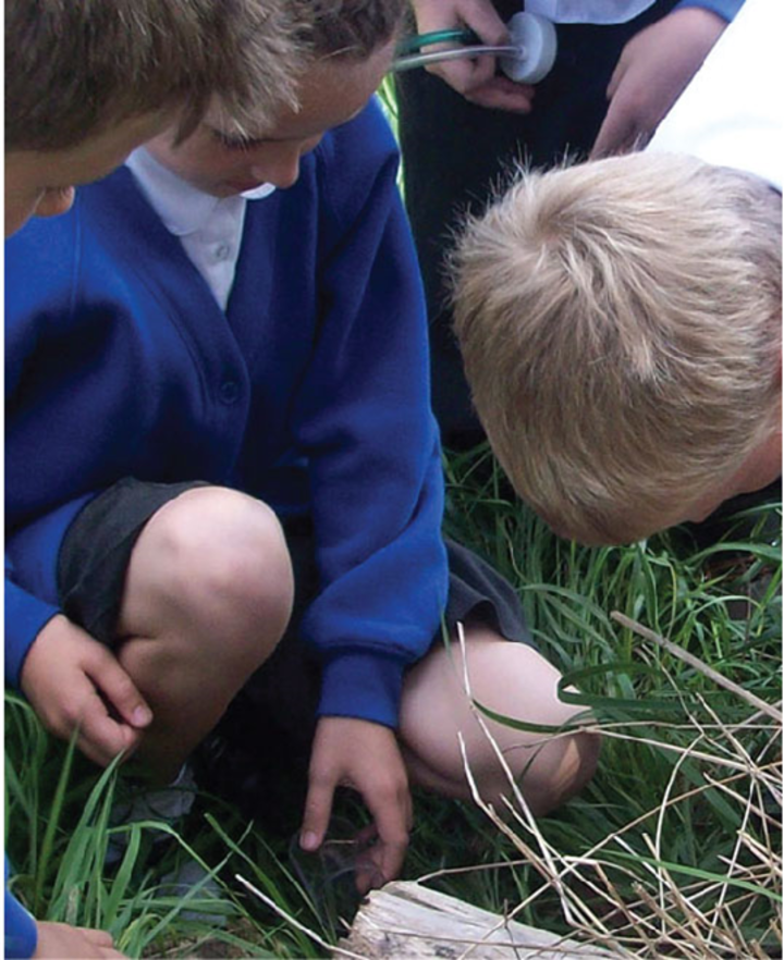 exploring-outdoors
